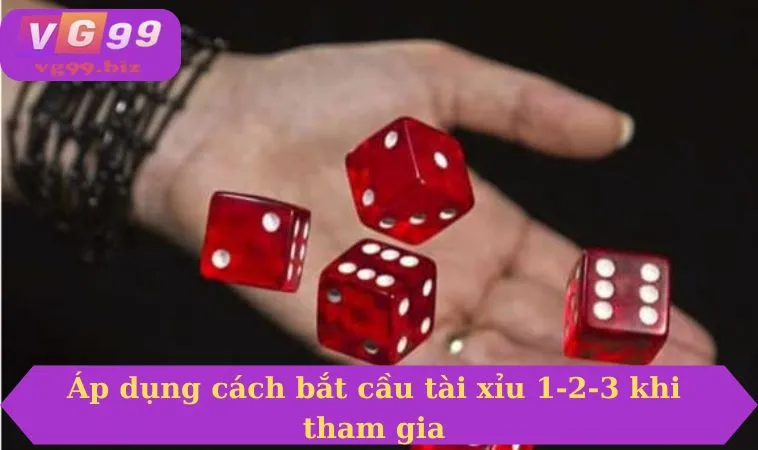 Áp dụng cách bắt cầu tài xỉu 1-2-3 khi tham gia