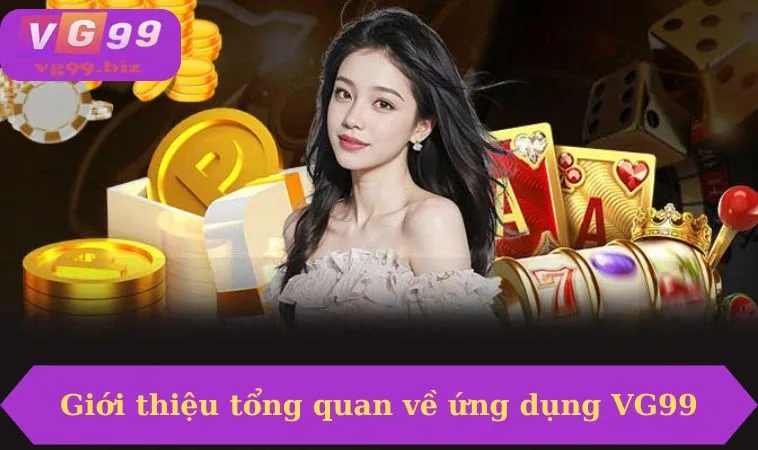 Giới thiệu tổng quan về ứng dụng VG99
