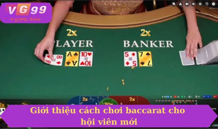 Giới thiệu cách chơi baccarat cho hội viên mới