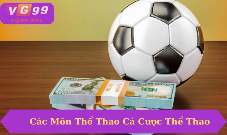 Tổng hợp các môn cá cược thể thao phổ biến